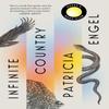 Infinite Country by Patricia Engel Paperback Book 9781398506657