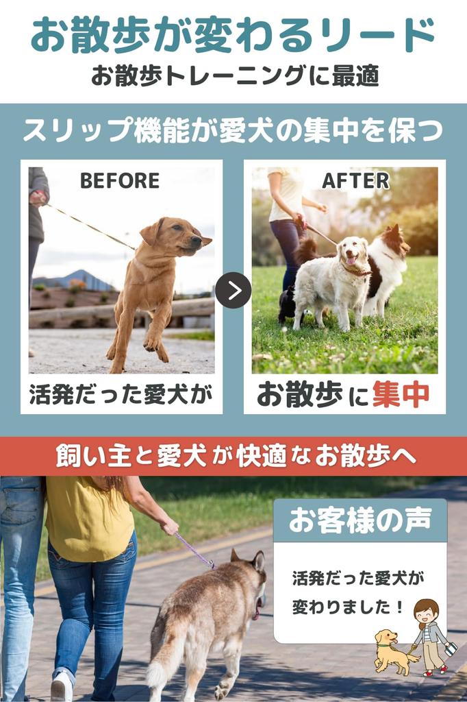 Slip Lead by Cesar Millan Length Thickness by Dog for medium and large dogs Regular small and medium Approximate weight under [Genuine Product] 120cm,