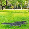 Dino Figure Collection for Housewarming Gifts And Party Decor