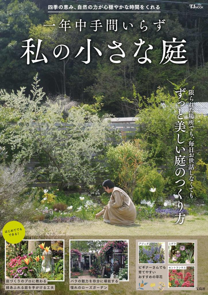 My little garden that requires no maintenance all year round (TJMOOK)