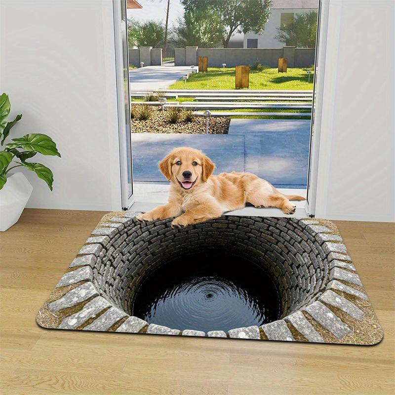 Vortex Well Mat: A Stunning Optical Illusion for Your Entrance | Unique Floor Mats | 3D Graphic Designs Skid resistant carpet