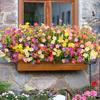 UV Resistant Artificial Flowers for Home and Outdoor Decoration - 2 Pcs.