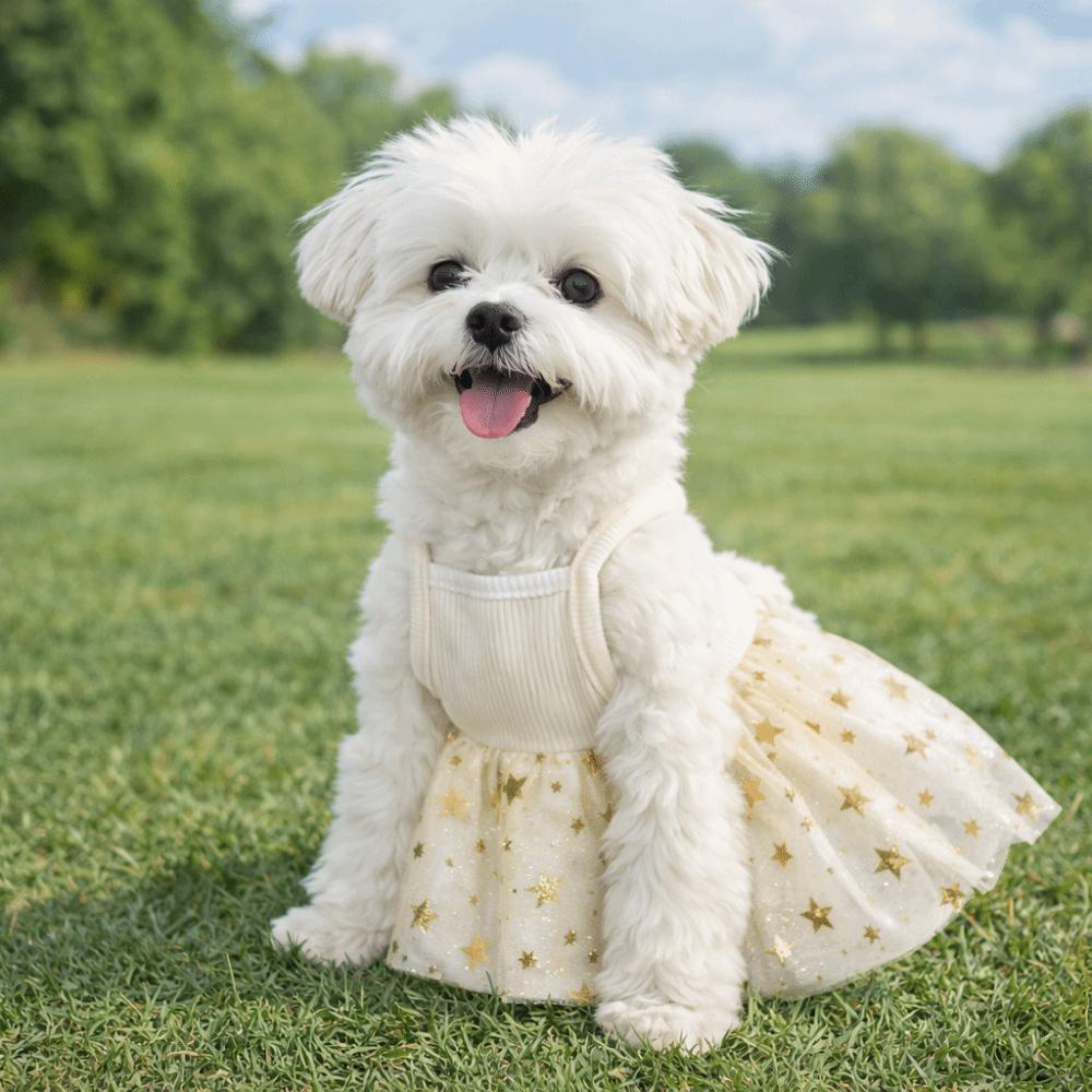 Breathable Puppy Princess Dress Star Mesh Pet Strap Puff Skirt Dog Summer Clothes  Spring Summer