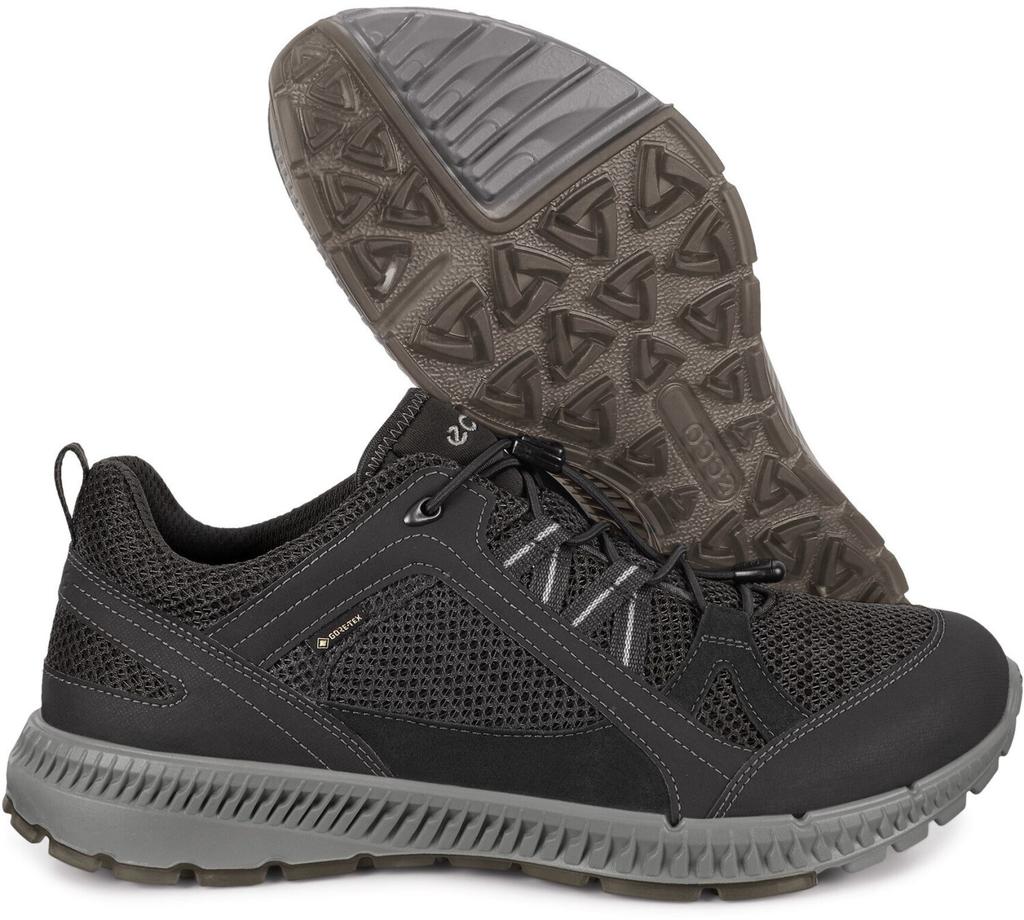 Ecco Terracruise II M Black Trekking Shoes