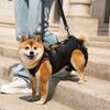 Adjustable Strap Dog Lift Harness Mobility Aid Comfortable Dog Assistance Strap Breathable Pet Rehabilitation Harness