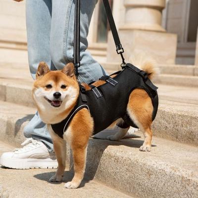 Verstellbarer Gurt Hund Hebegeschirr Mobilitätshilfe Bequemer Hundehilfe-Gurt Atmungsaktives Haustier-Rehabilitationsgeschirr