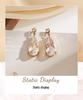 European Exquisite Zirconia Water Drop Stud Earrings In 18K Gold-Plated Stainless and Titanium Steel
