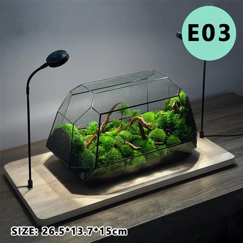 Micro Landscape Plant Terrariums Glass Greenhouse Rainforest Fern Moss Terrarium Ecological Geometric Vase Table Greenhouse New