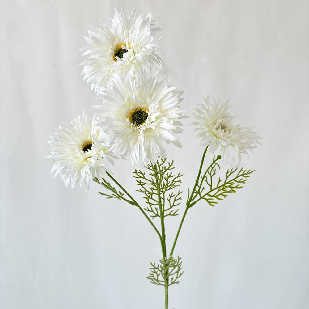 African Gerbera Jamesonii Bolus Wedding Decor For Home And Event Use