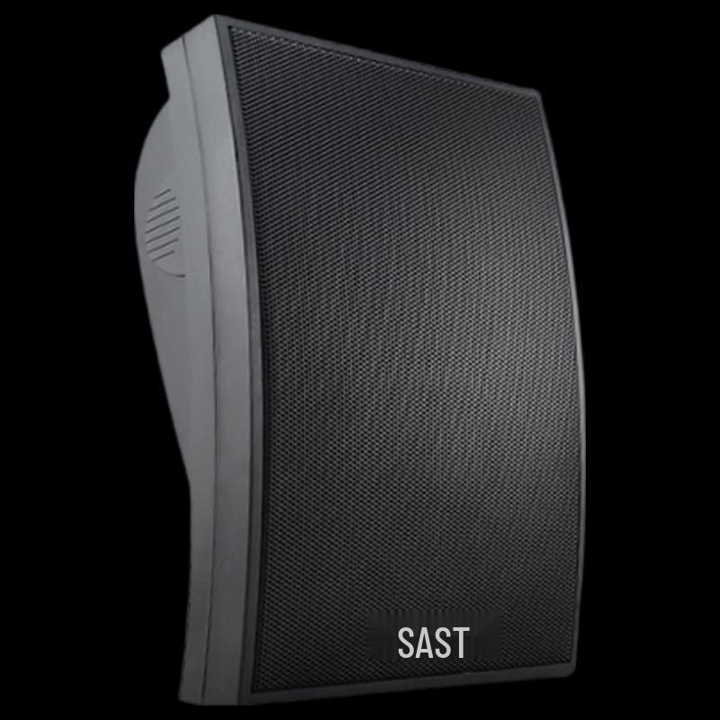 SAST D7 Wireless Bluetooth Ceiling Speaker CN plug (adapter included)