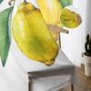 Cortinas transparentes Fruit On Lemon Branch para sala de estar, janela, voile transparente, cortina de tule, quarto, decoração para casa