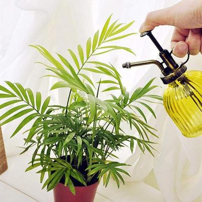 Sprayer Vintage Hand-pressure Design Pumpkin Shape Plant Flower Water Sprayer for House