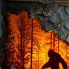 Sasquatch Forest Fires Mug Unique Coffee Cup 3D Bark Texture Cup Hot And Cold Drink Container for Coffee Lovers And Adventure Enthusiasts