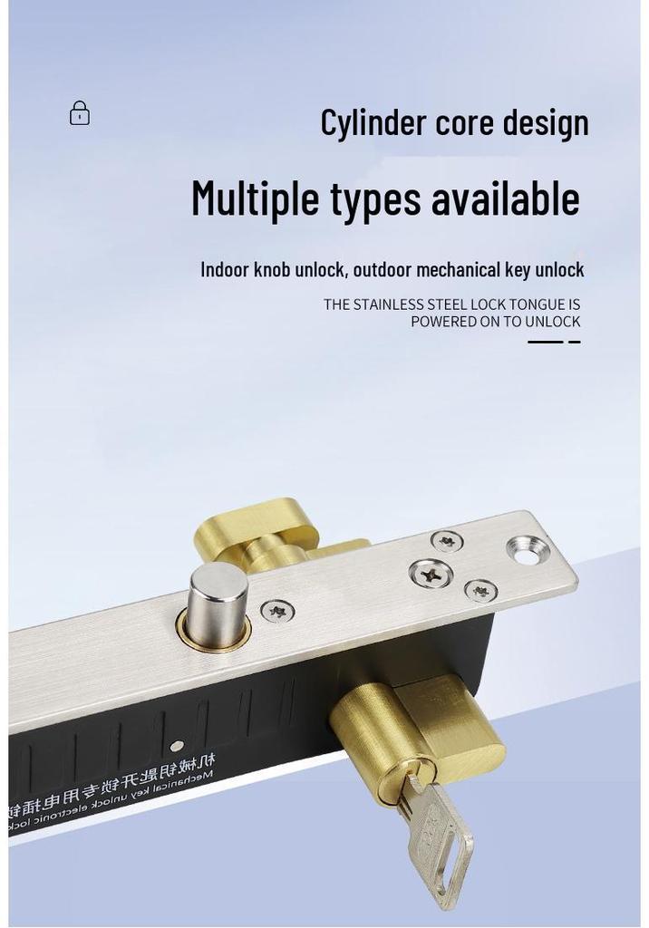 Custom Logo Electric Plug Lock for Doors: Cabinet, Shopping Mall, Residential, Metal, Wooden, and Prison Electric Control Locks