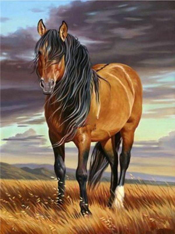 DIY Diamond Painting Animal Cross Stitch Full Round Drill  Steed Painting Embroidery Craft Home Decoration