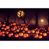 Halloween Photography Background Horror Night Moon Dark Forest Castle Pumpkin Halloween Party Kid Portrait Backdrop Photo Studio
