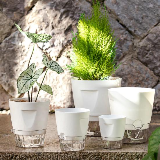 Flowerpot with Open Water Pour Port Easy Maintenance Self-Absorbing Double-Layer Water System Thickened Transparent Water Storage