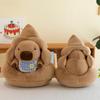 Capybara Ugly-Cute Plush Doll and Pillow Set