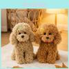 Teddy Dog Plush Toy With Pp Cotton Fill For Kids And Gift Giving