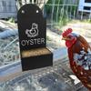 Chicken Feeding Trough Precision Nutrition Oyster Shell Feeder No Waste Design Automatic Chicken Feeder Chicken Coop Accessories