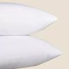 Silk Cotton Filled Cushion Insert 45x45 Cm - Sofa Pillow Core for Living Room
