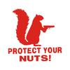 Generic Protect Your Nuts Funny Squirrel Decal, Funny Squirrel Die Cut Decal - Car
