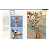 Animal Photo Book Horns and Antlers Comparison Ikimono Shashinkan 3 Japanese Picture Book