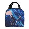 Marcus And Martinus Sweden Norway Eurovision Insulated Lunch Bag for Women Children Portable Food Boxes Thermal Lunch Box Tote