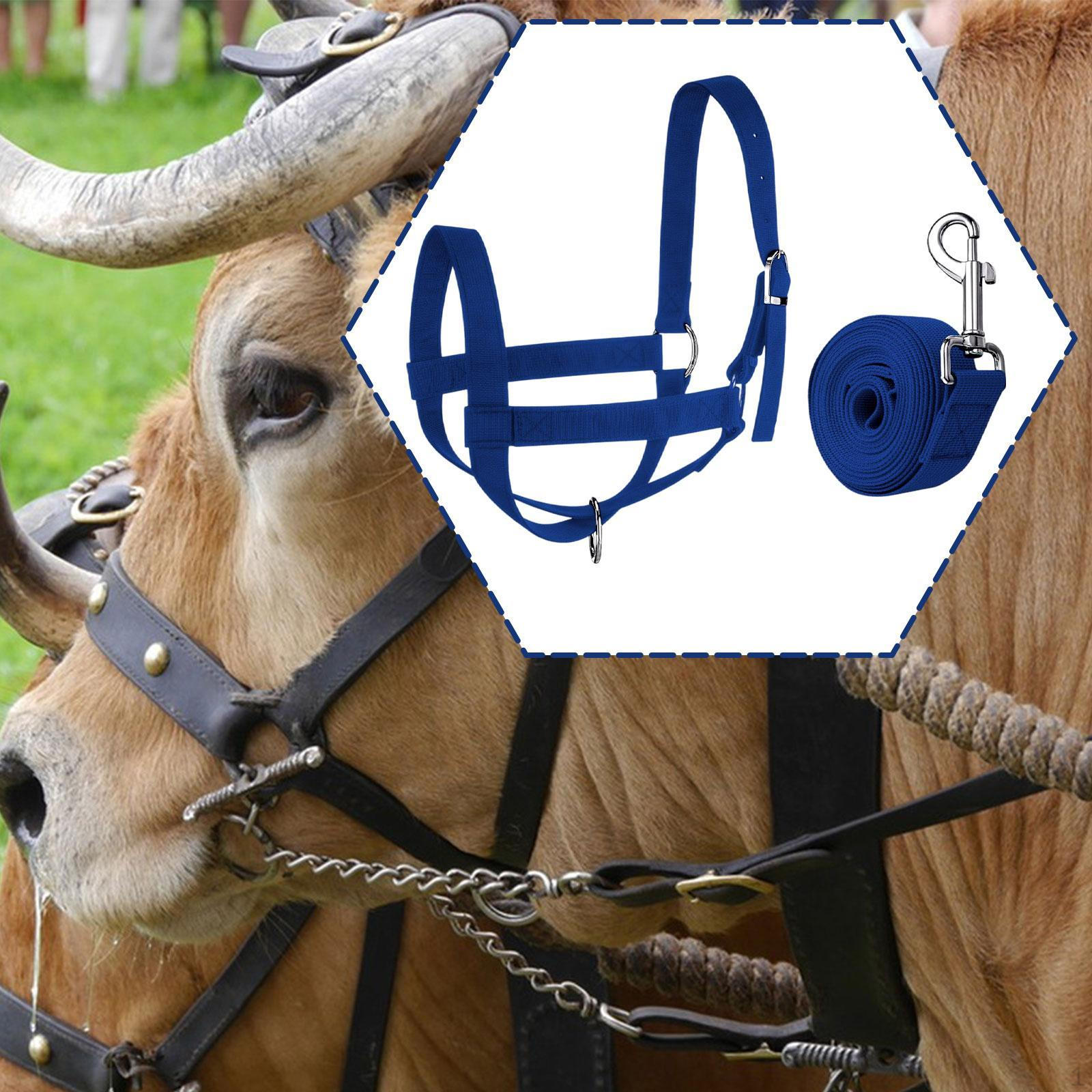 

Коровий недоуздок с поводом Регулируемый для скота Уличный Крупный рогатый скот Теленок Бык Уздечка для лошади S