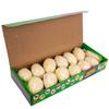 Dinosaur Mine - Archaeological Excavation Set with 12 Large Eggs