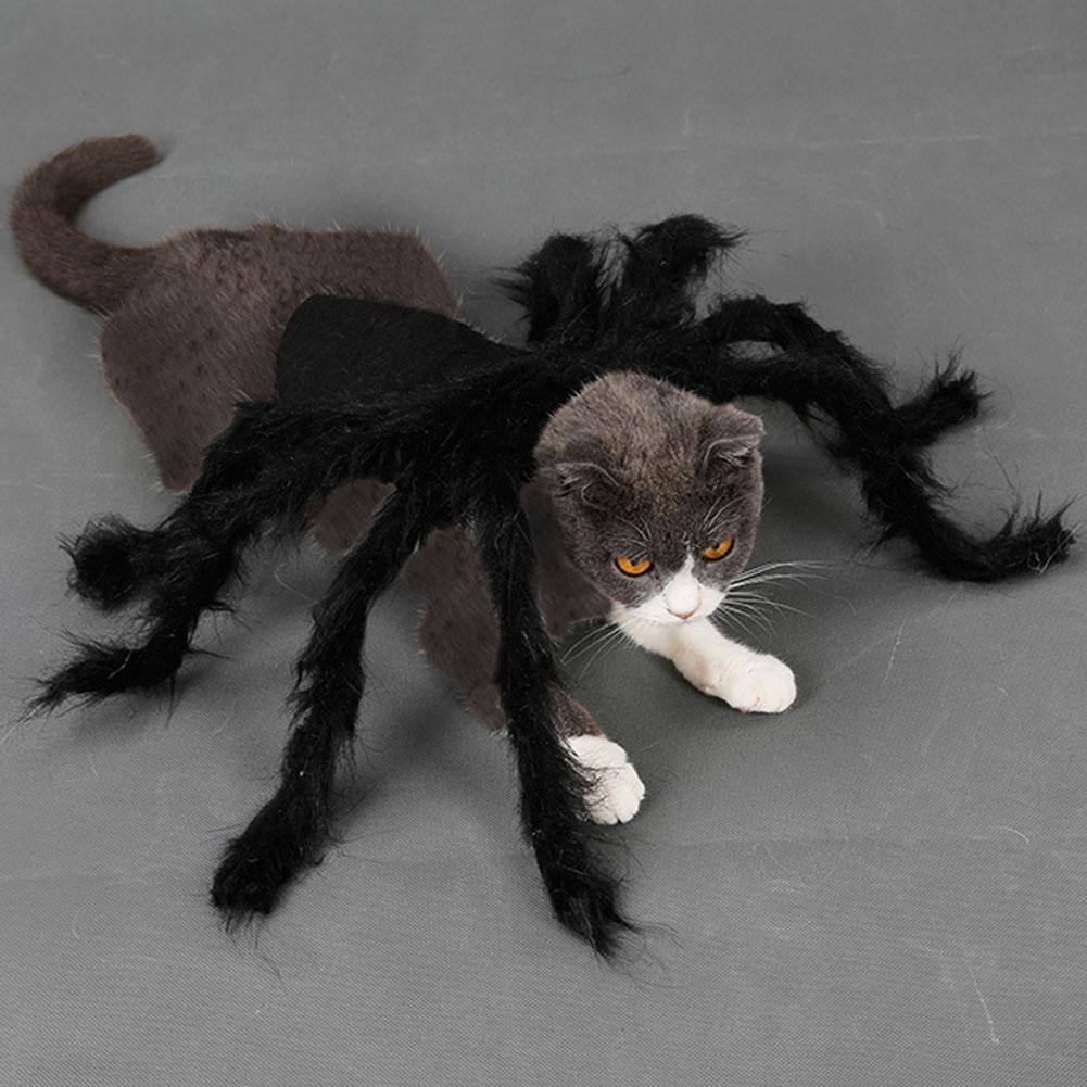 Scary Plush Spider Costume for Dogs Cats Halloween Pet Fancy Dress Up Outfit Size M