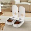 Dog Feeder Cat Automatic Feeding Water Bowl with Timer Pet Food Storage Dispenser Container Pets Puppy Kitten Accessories