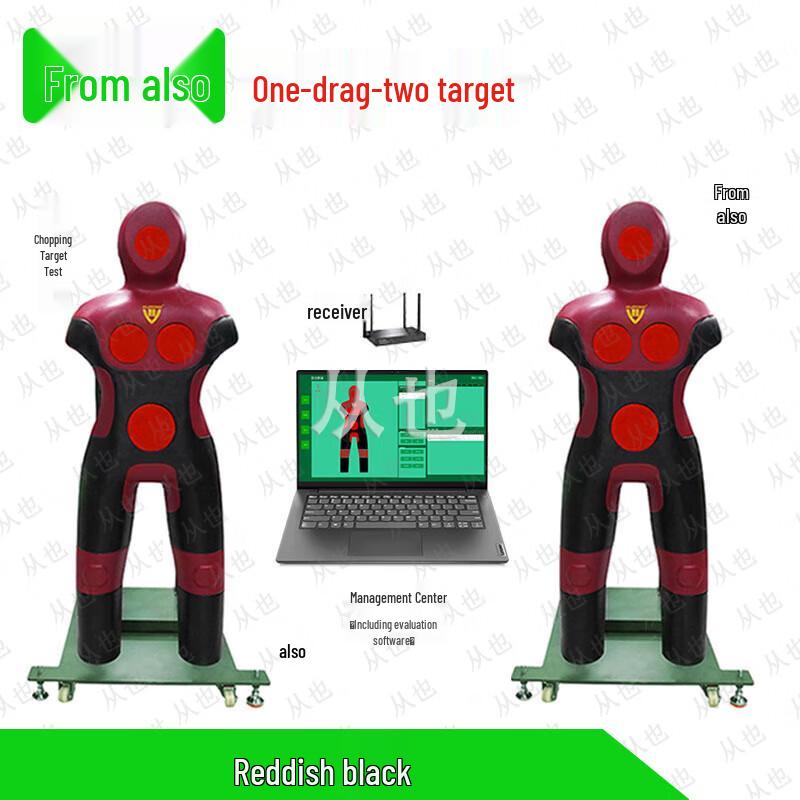 Advanced Thrusting Technique Training Device