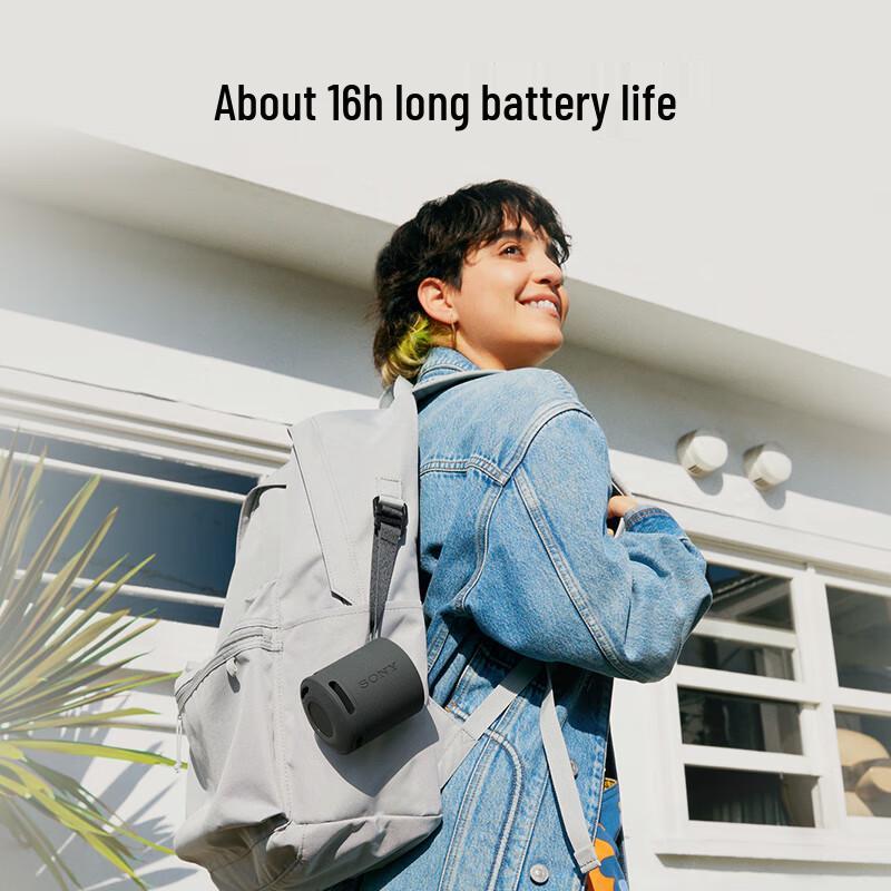 Sony SRS-XB100 Portable Bluetooth Speaker