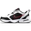 Air Monarch IV