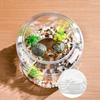 Plastic Round Fish Tank Unbreakable Goldfish Bowl Desktop Turtle Tank  Office