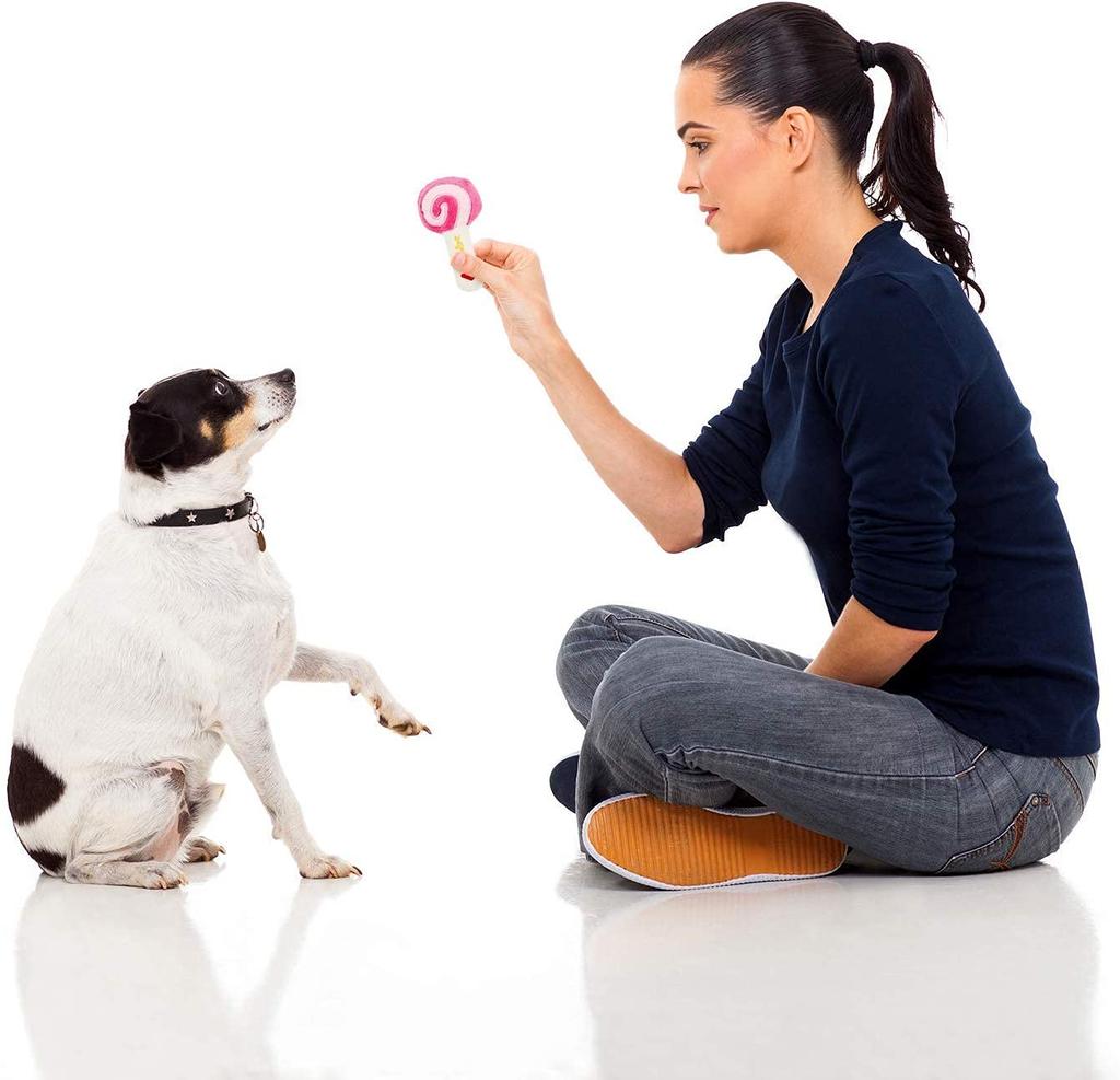 LEGEND SANDY 14 Pack Dog Squeaky Toys Cute Stuffed Plush Snacks and Vegetables Dog Toys for Puppies Small Dogs