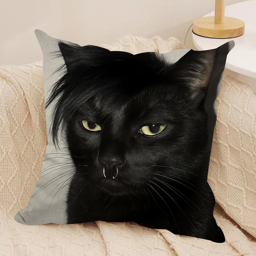 Handsome fashion pretty cat Cushion Cover Silky Short Plush Invisible Zipper Dustproof Sofa Pillow Case for Home Decor