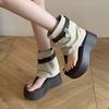 7Cm Thick-soled Trousers, Cool Boots for Women 2025 Summer New Small Toe Retro Sandals Heightening Hollow Short Boots