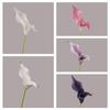 Rainbow Sketcher Artificial Calla Lily - INS Style Home Decoration Flower for Weddings