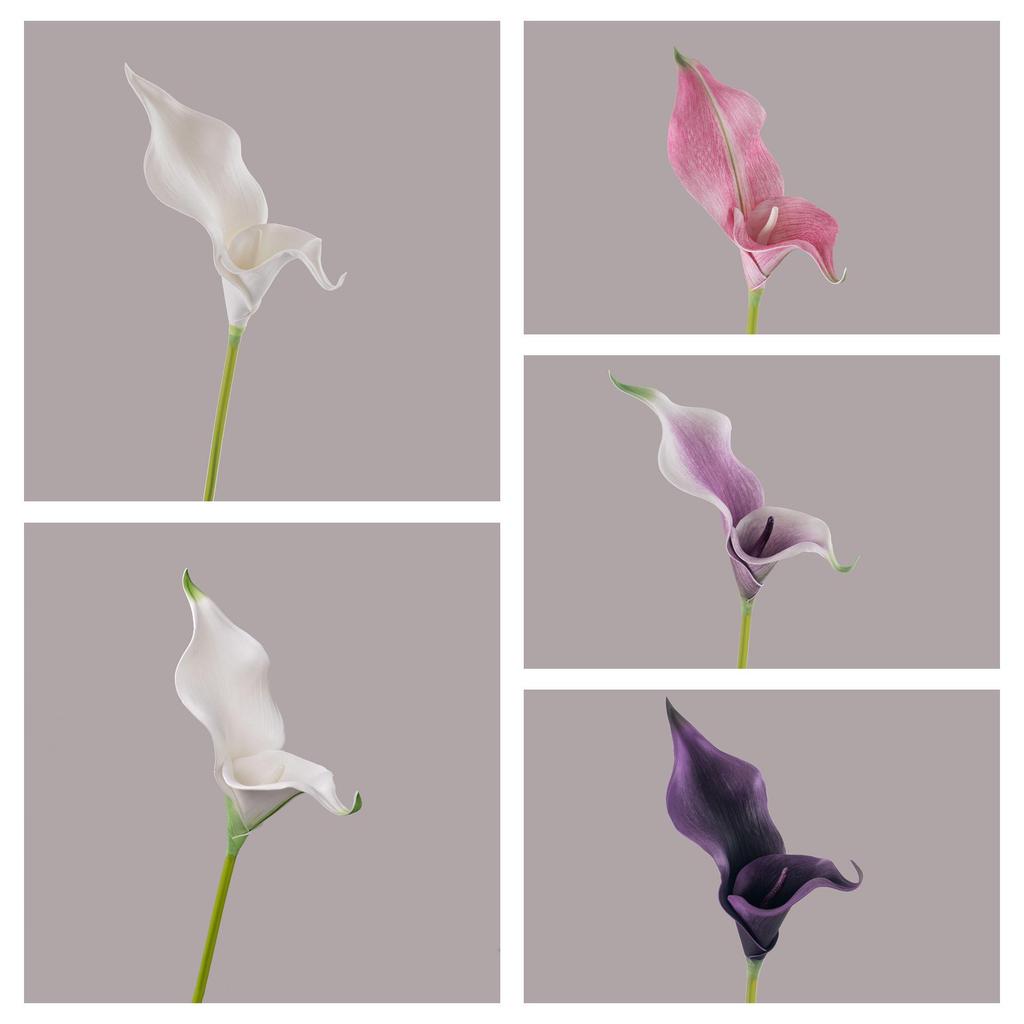 Rainbow Sketcher Artificial Calla Lily - INS Style Home Decoration Flower for Weddings