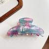 Acrylic Acetic Acid Hair Claw Elegant Women Hair Accessories Beach Gradient Shark Clip  Friends