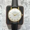 Used 1960s Royal Orient Record Dial 21 Jewels Manual Wind