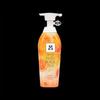 Ryo Herbal Tea Oil Control Shampoo