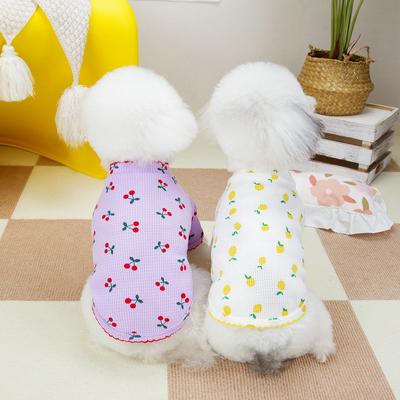 Ρούχα και παπούτσια – Γιλέκα και πουκάμισα για σκύλους