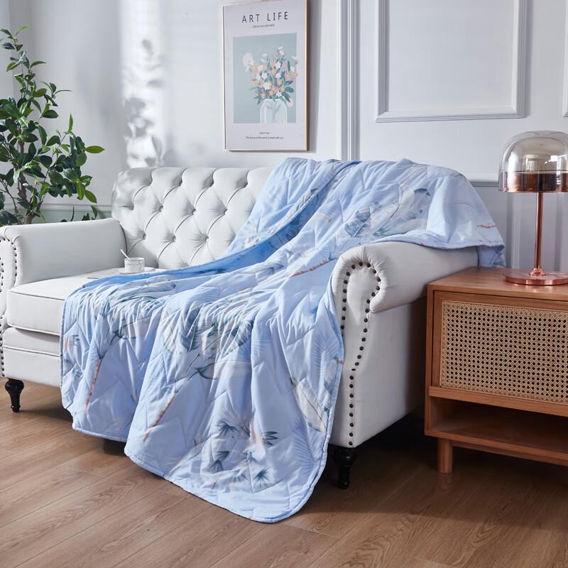 Tangna Home Textiles Skin-Friendly Brushed Summer Quilt