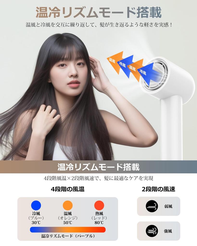 20S Hair Dryer Million Negative 1300W Hair Dryer with 4 Temperature Settings 2 Airflow NTC Temperature Overheat Static Low Home PSE Japanese