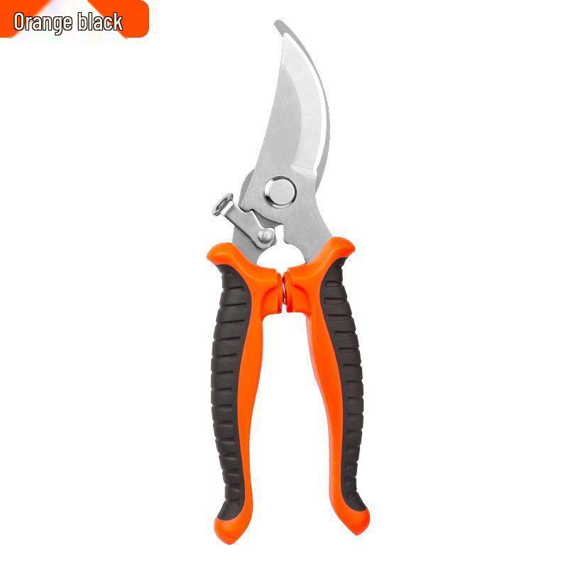 Stainless Steel Pruning Shears: Ideal for Garden & Horticulture, Perfect for Flower Pruning, Fruit Tree Trimming, and Fruit Picking.