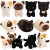 1 Stück Kawaii Katze Plüschtiere Niedliche Schwarze Katze Siamkatze Stofftier Weiches Kätzchen Kissen Kindergeburtstagsgeschenk Heimdekoration Puppe