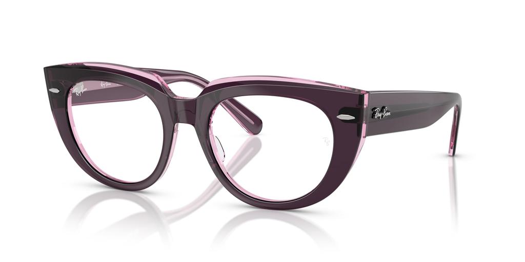 Sunglasses 0RX5586 Violet ON Transparent Pink 48 [Ray-Ban]
